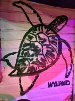 pic of a turtle painted on a wall